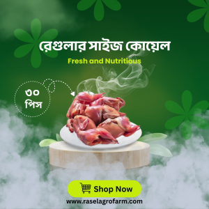 রেগুলার সাইজ কোয়েল ৩০ পিস (২১০০ - ২২৫০ গ্রাম +/-)